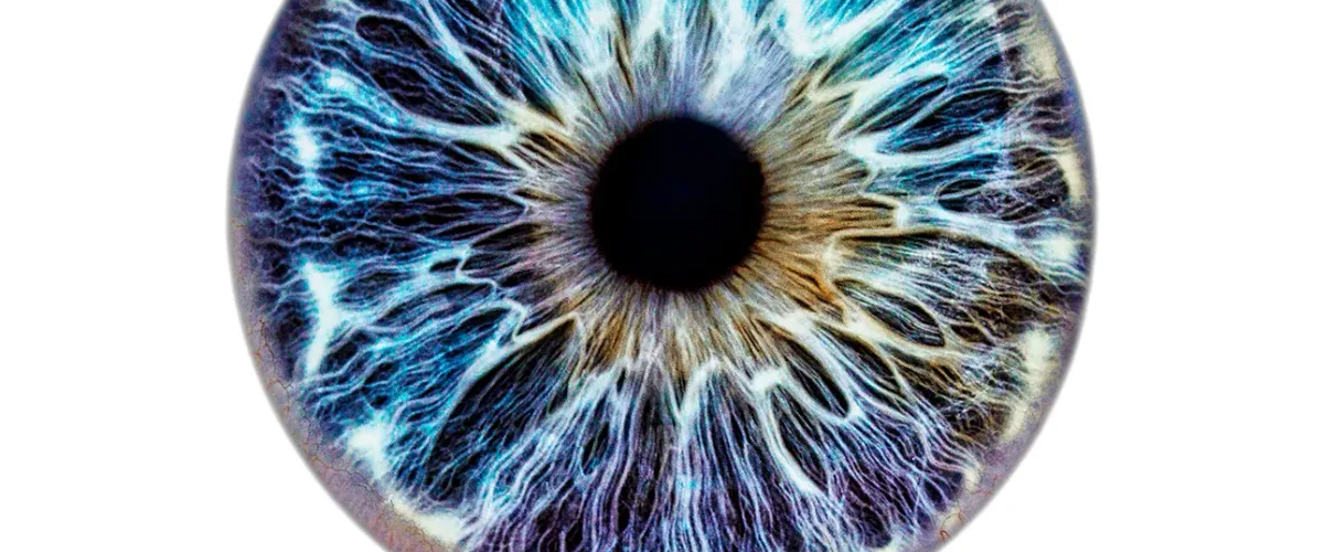 Iris-Fotografie