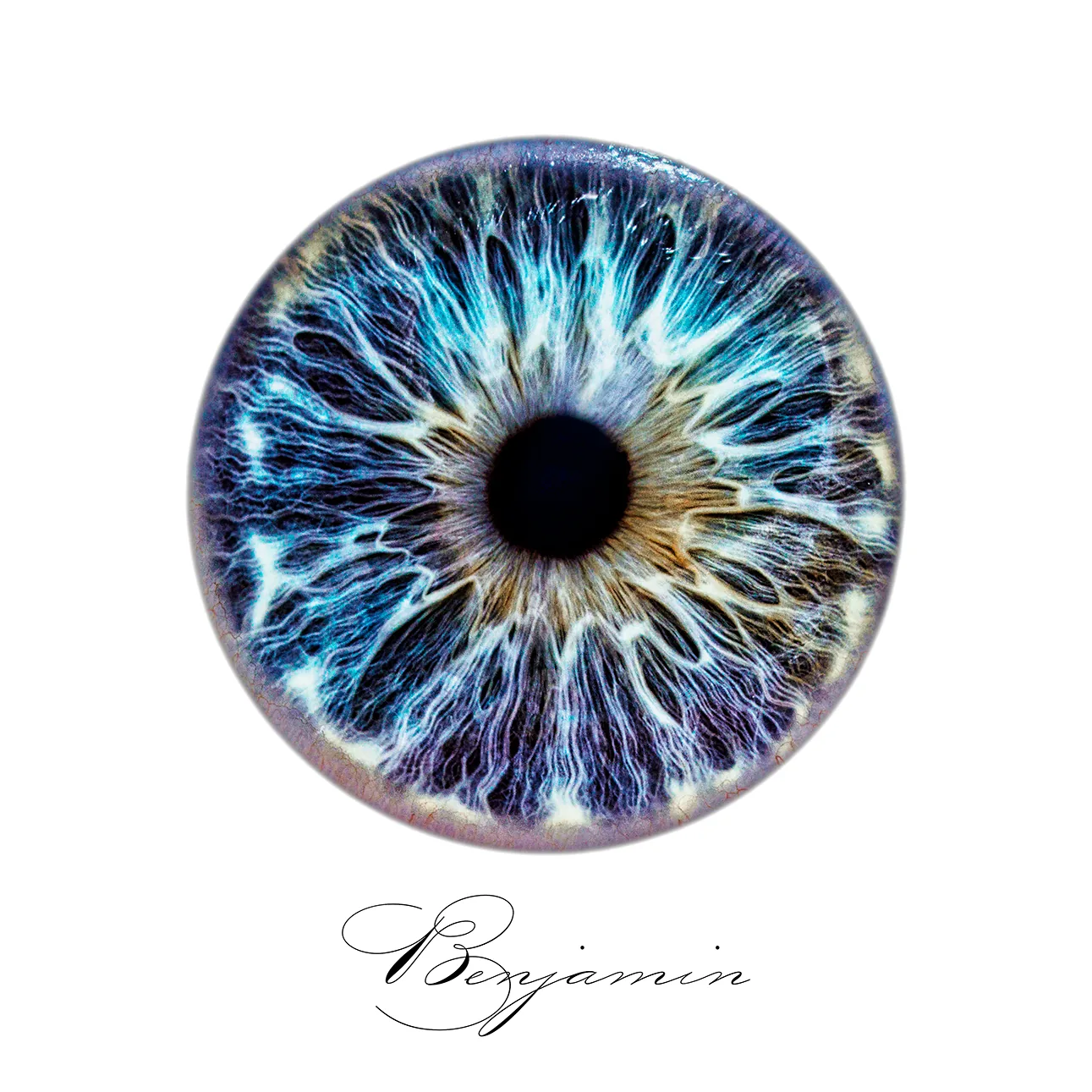Iris Fotografie