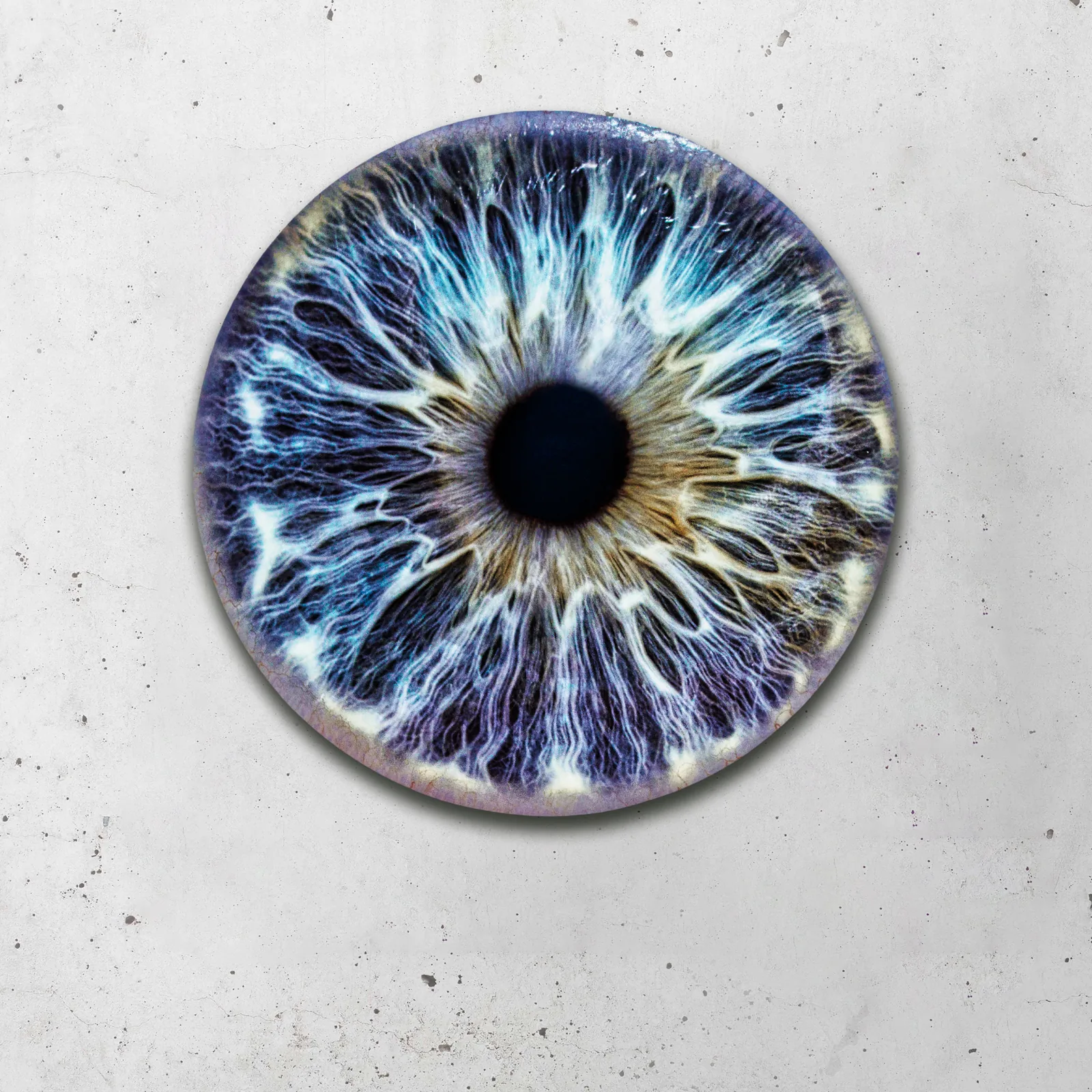 Iris Fotografie