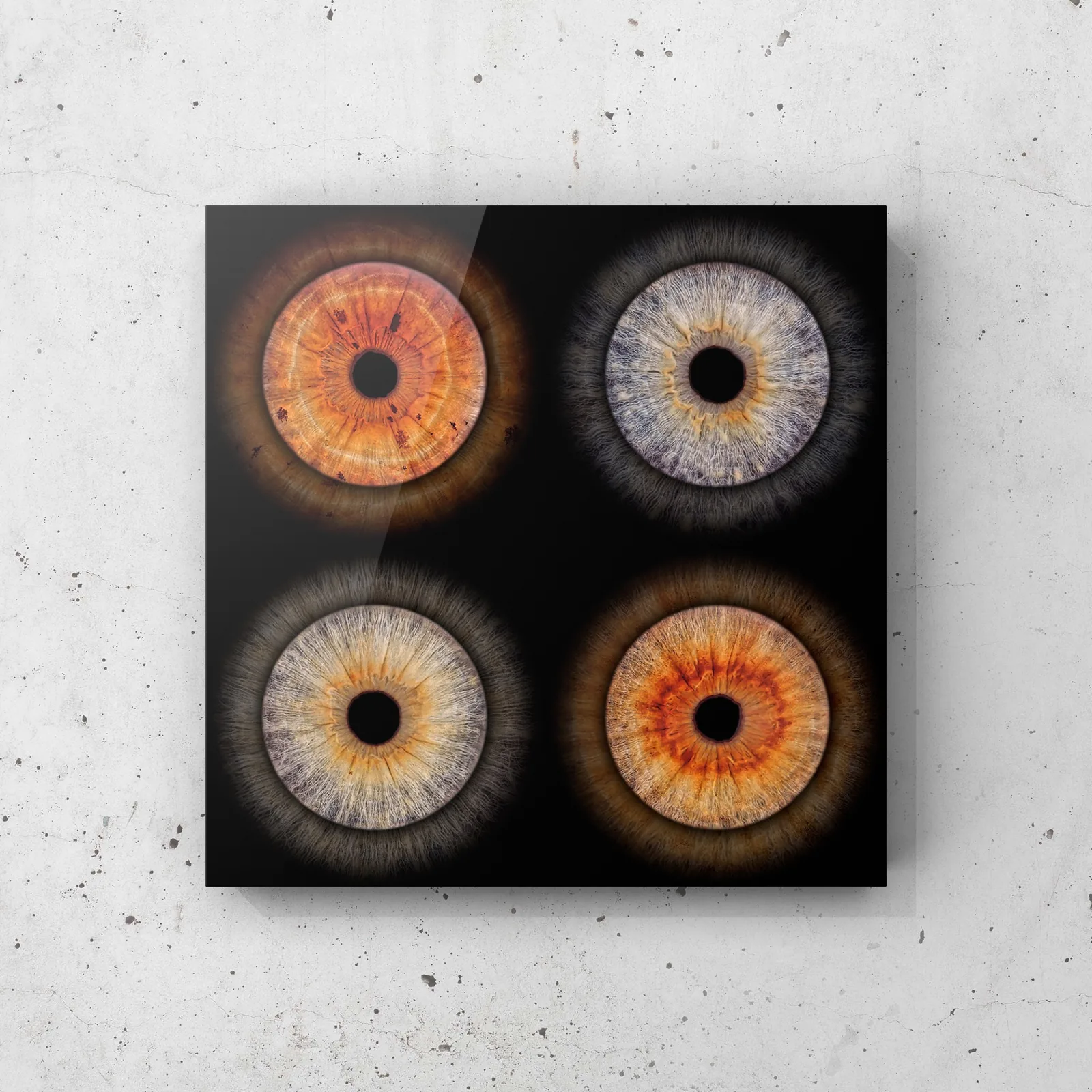 Iris Fotografie