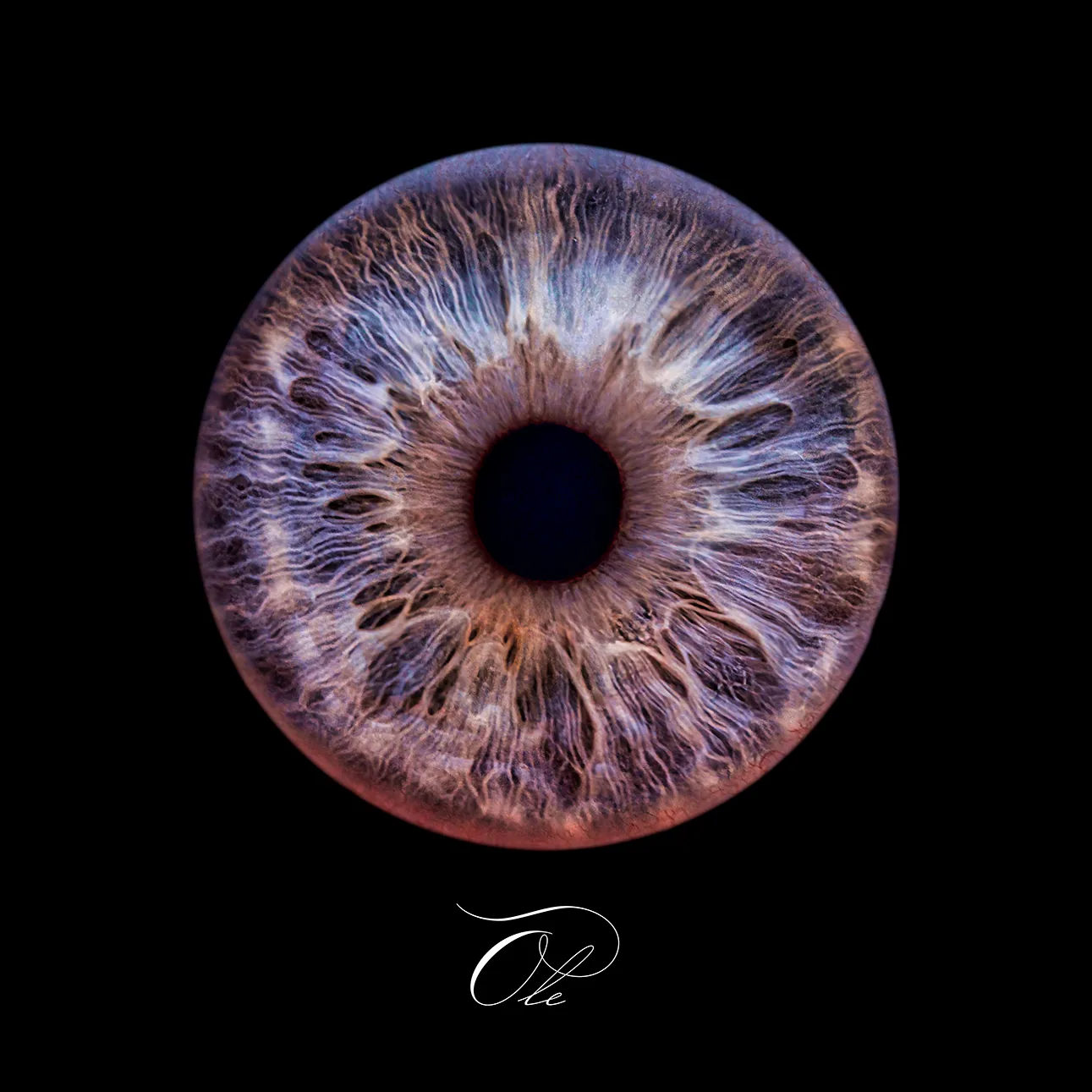 Iris Fotografie
